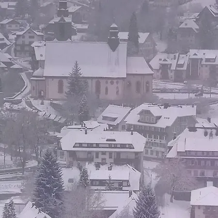 Haus-herzogenhorn-sunrise Appartement